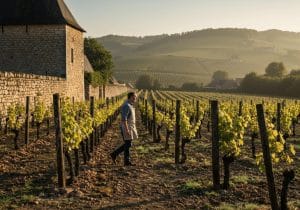 domaine piguet chouet
